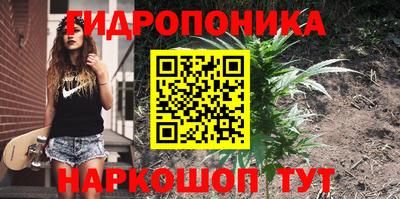 трава Долгопрудный