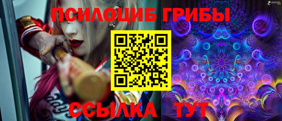 Галлюциногенные грибы GOLDEN TEACHER  Вход с VPN  магазин    Вышний Волочёк 