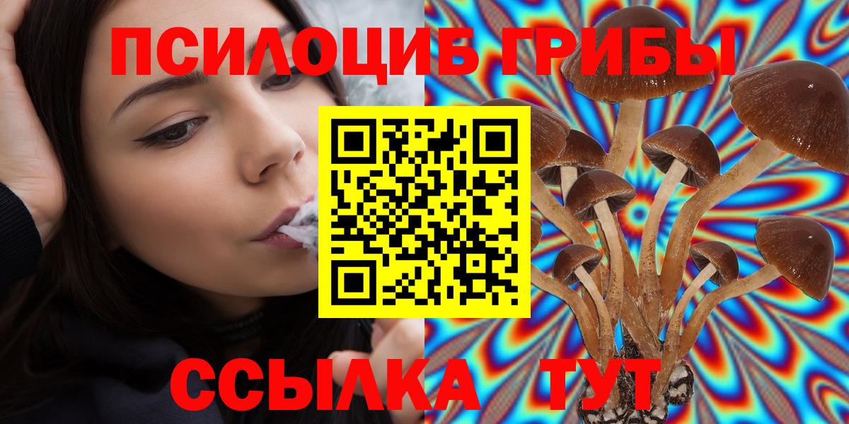 Галлюциногенные грибы мухоморы Вышний Волочёк